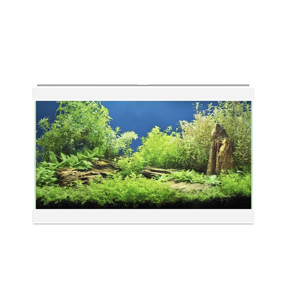Acuario Aqua 20 Light Blanco L.40 x l.20 x H.26 cm - CIANO - Imagen 2