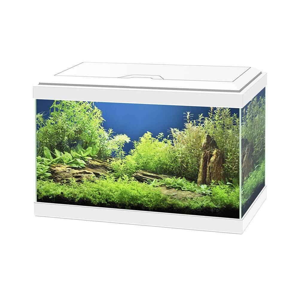 Acuario Aqua 20 Light Blanco L.40 x l.20 x H.26 cm - CIANO - Imagen 1
