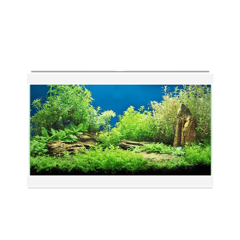 Acuario Aqua 20 Light Blanco L.40 x l.20 x H.26 cm - CIANO - Imagen 3