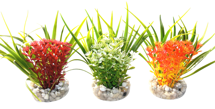 Fleur Amazone pour Aquarium - TYROL