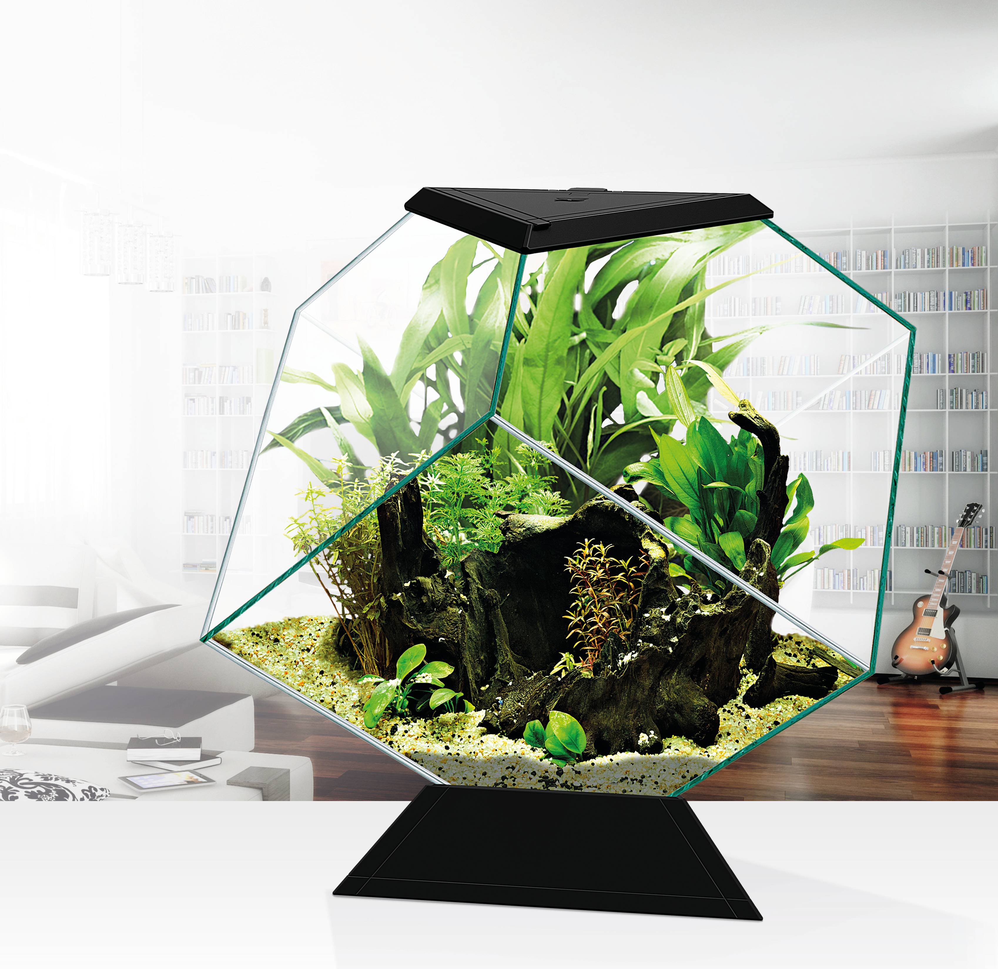 Aquarium Nexus Verre Noir 14 L Forme Diamant - CIANO - Imagen 1