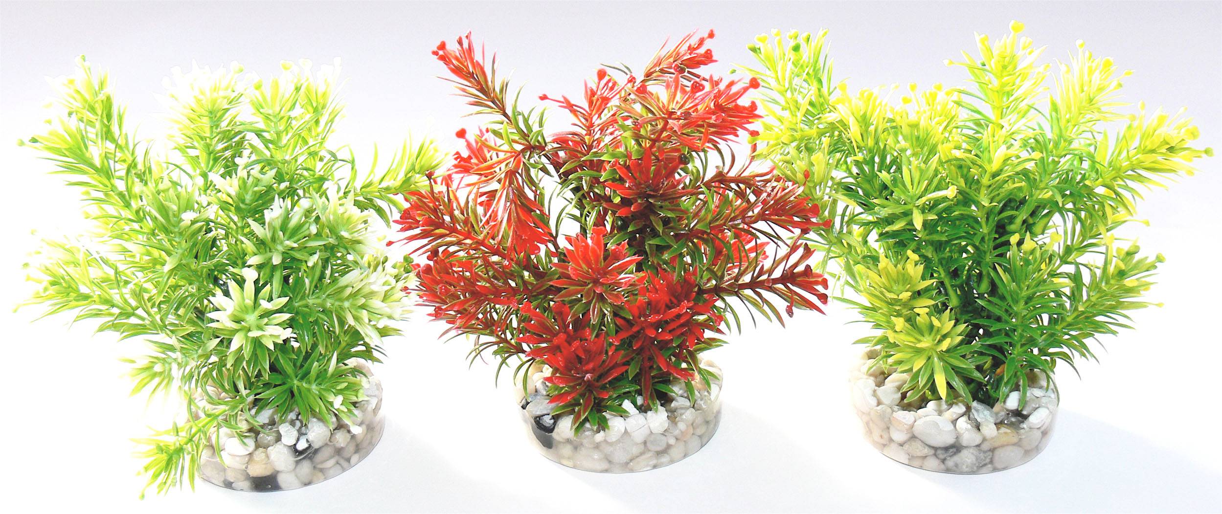 Décoration plantes aquarium - TYROL