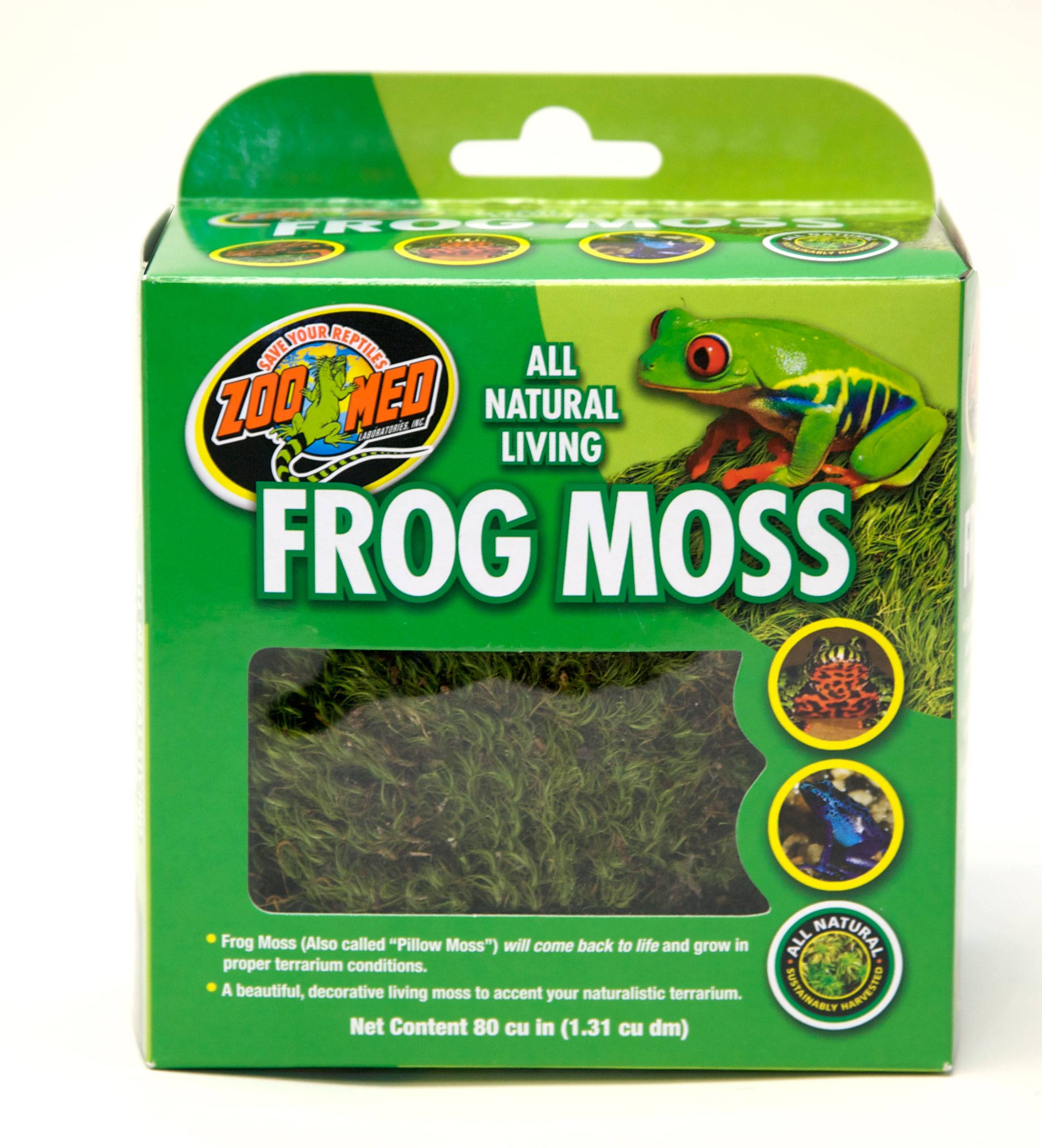 Zoomed - Mousse Grenouille – ZOOMED