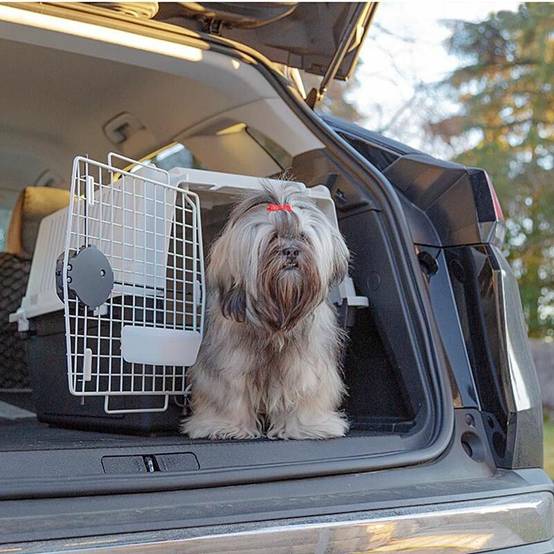 Panier de transport chiens résine gris H 45,5 cm – FERPLAST - Image 5