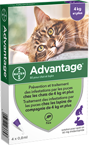 Antiparasitaire Externe Chats Lapins - ADVANTAGE - Imagen 1