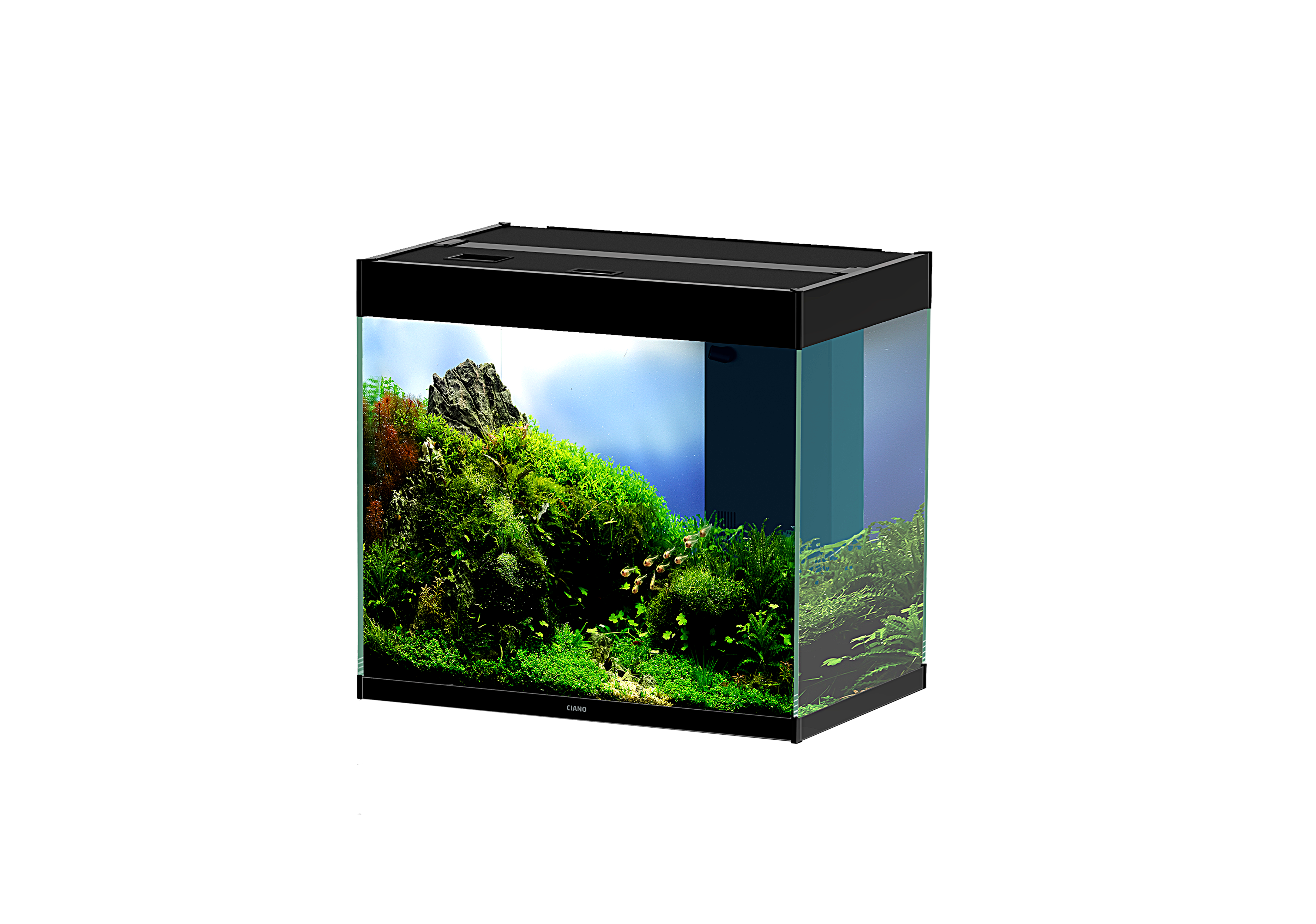 Aquarium Kit Noir – EMOTIONS PRO
