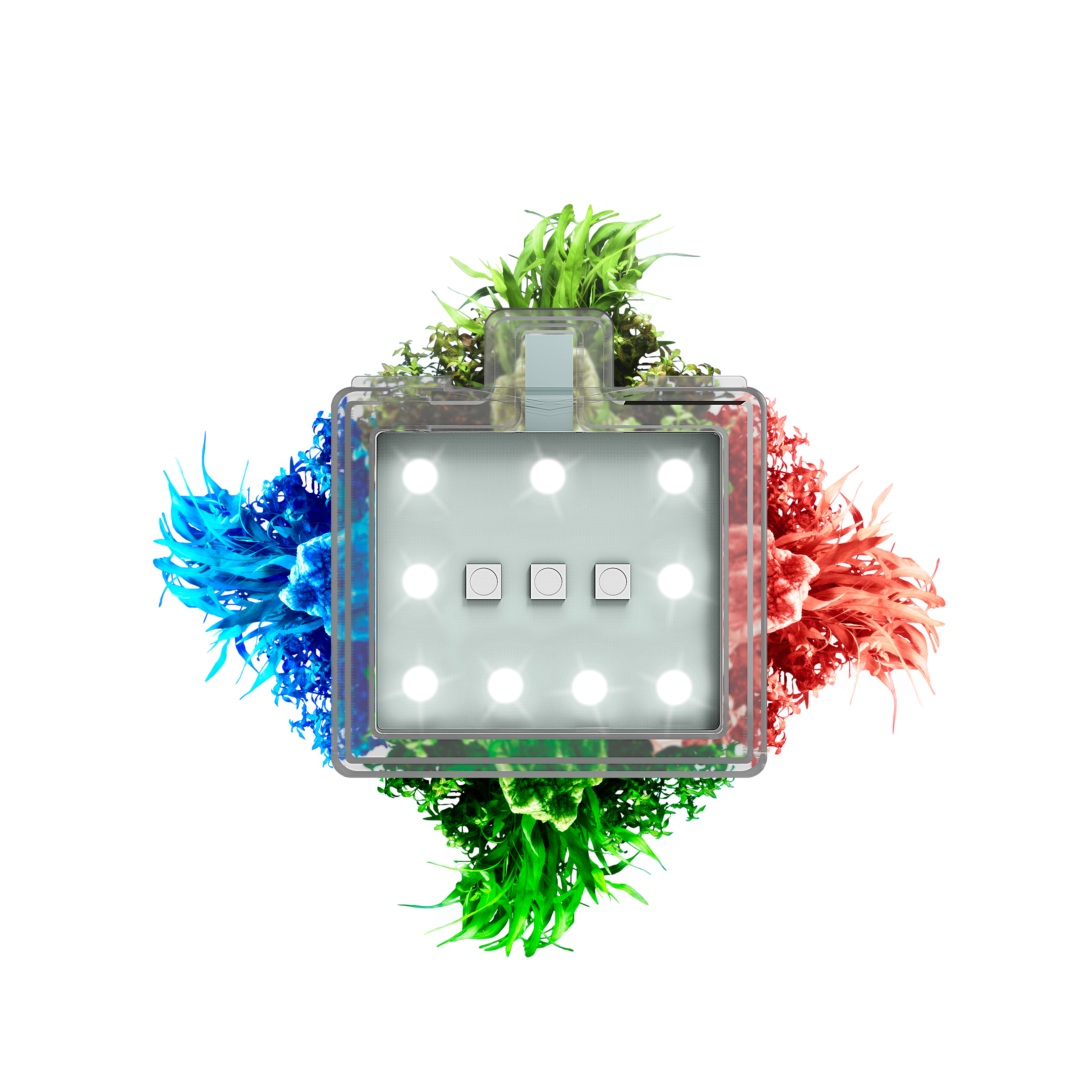 Eclairage LED Aquarium RGB Tactile Betta Nexus CLN 5 – CIANO - Imagen 3