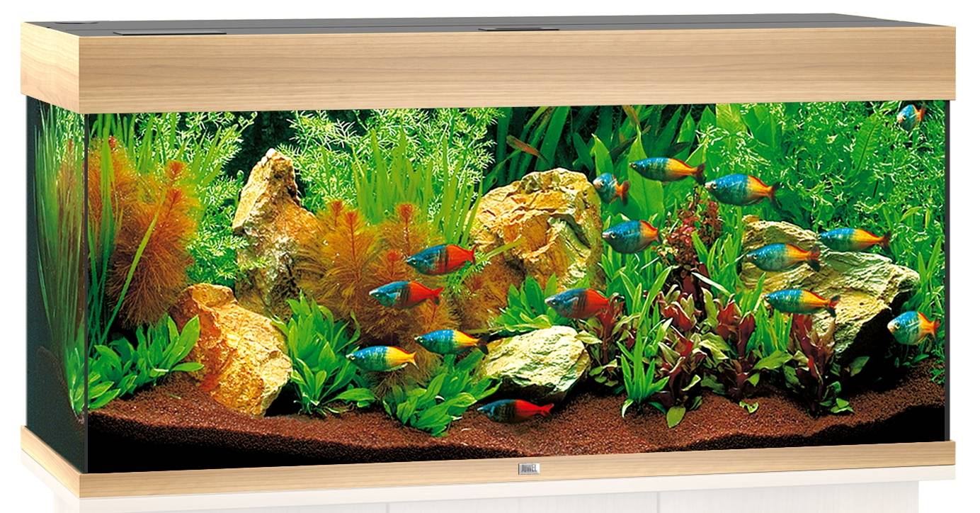 Aquarium LED Bois Clair – JUWEL - Image 1
