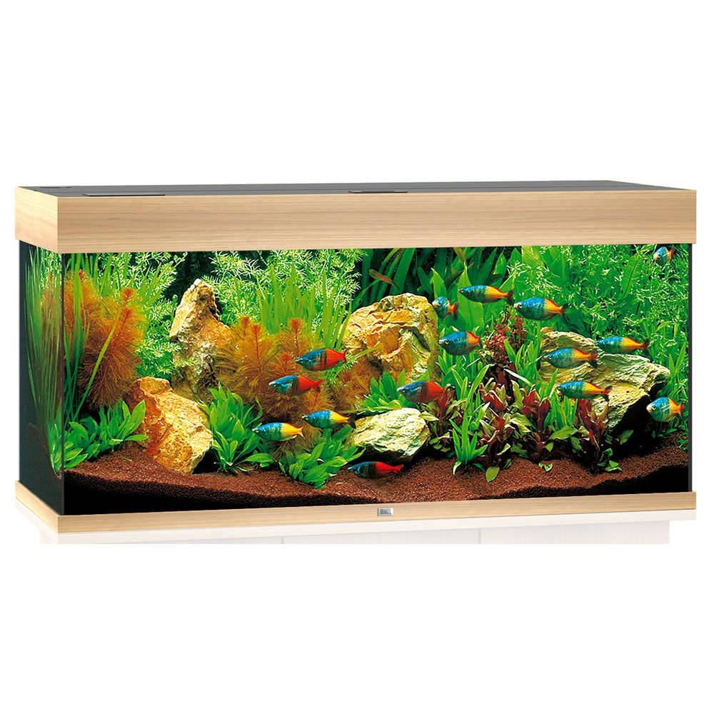 Aquarium LED Bois Clair – JUWEL - Image 5