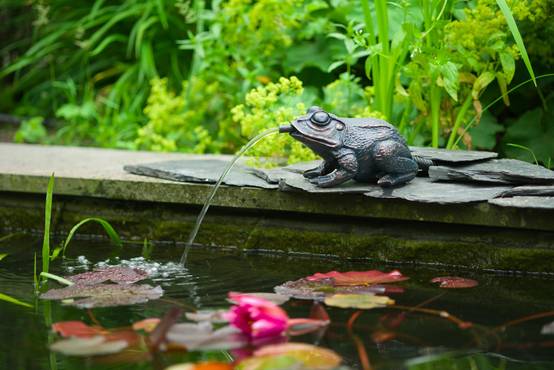 Gargouille Grenouille UBBINK - Image 3
