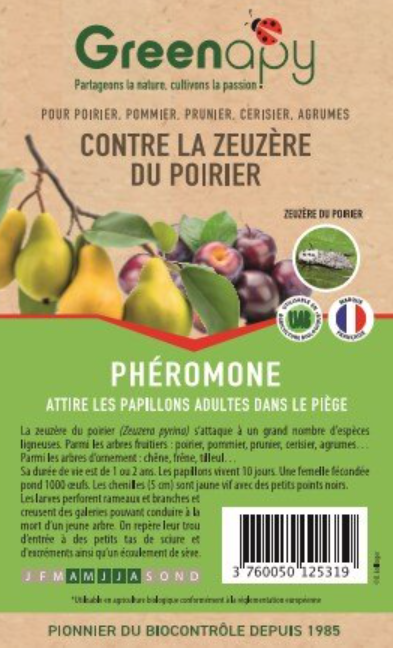Greenapy - Phéromone Zeuzère du poirier Zeuzera pyrina boîte de 2 capsules – Greenapy - Image 1