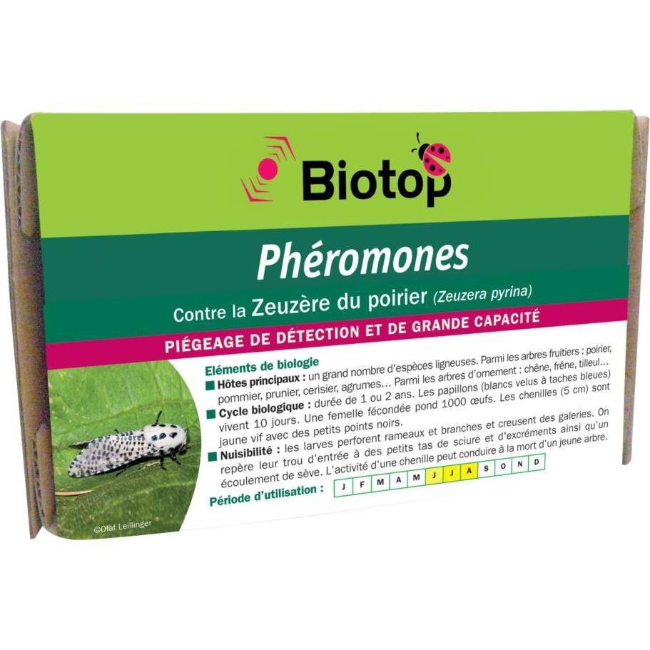Greenapy - Phéromone Zeuzère du poirier Zeuzera pyrina boîte de 2 capsules – Greenapy - Image 2