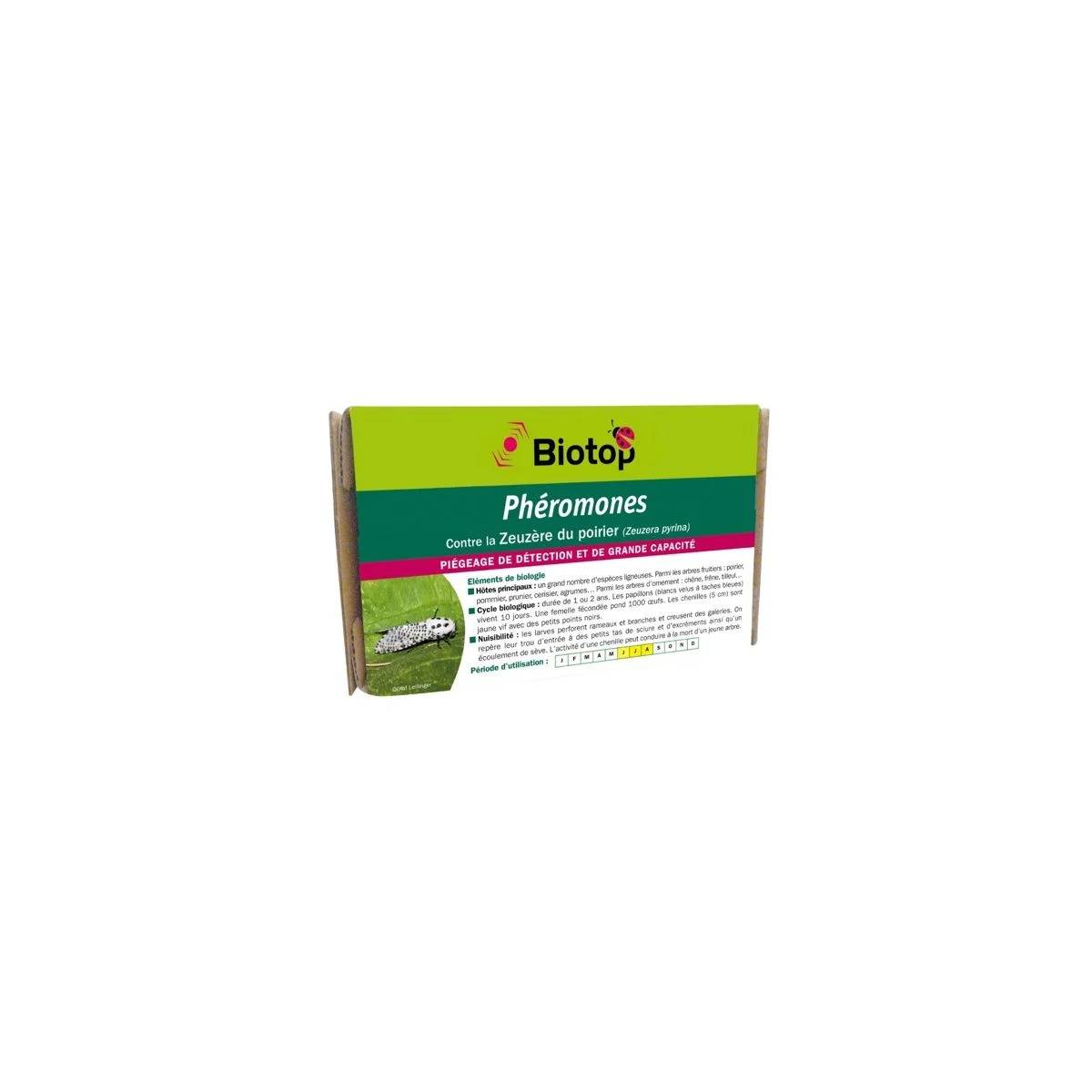 Greenapy - Phéromone Zeuzère du poirier Zeuzera pyrina boîte de 2 capsules – Greenapy - Image 5