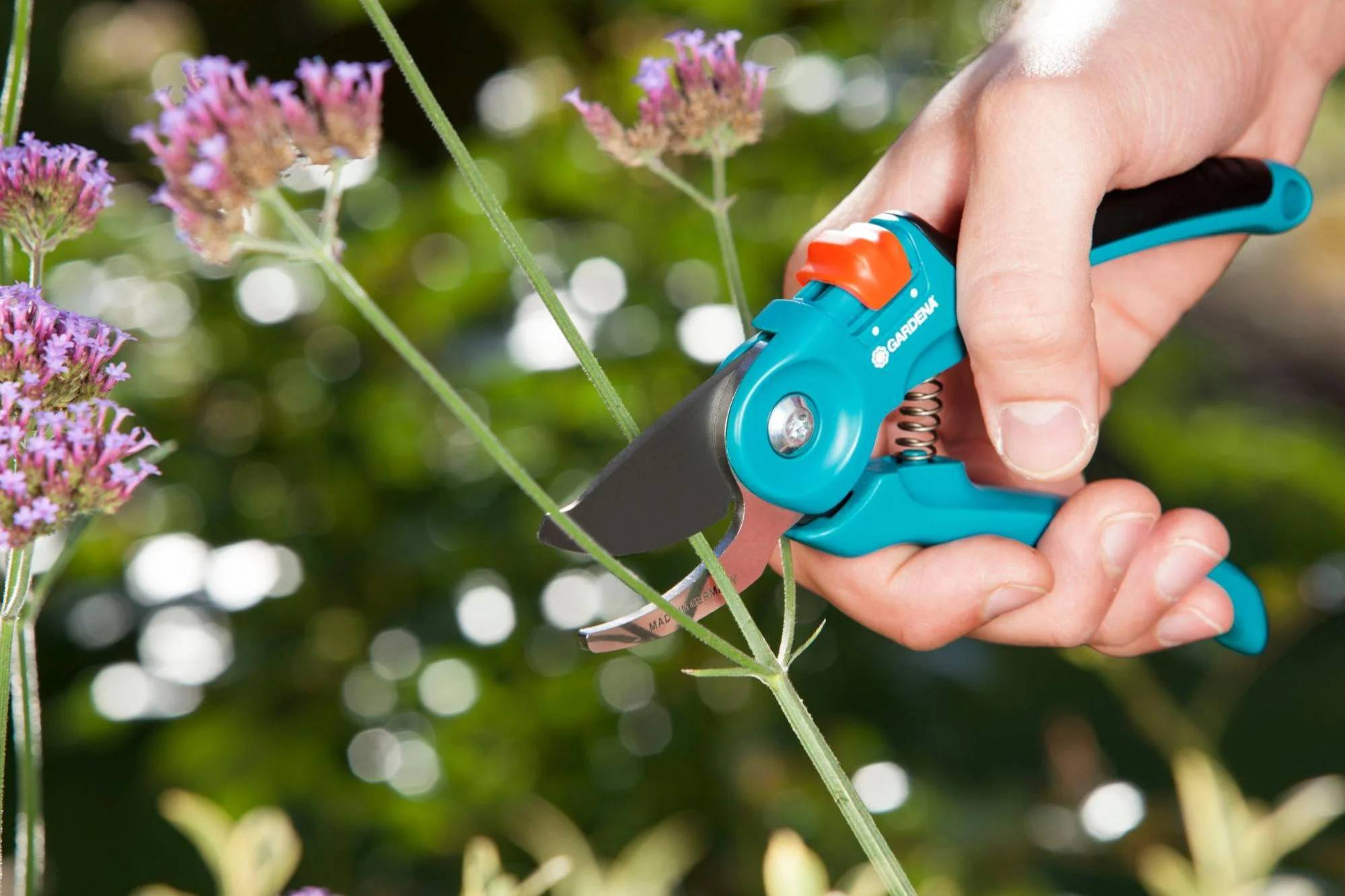 Sécateur à lames franches acier inoxydable classic GARDENA - Image 6
