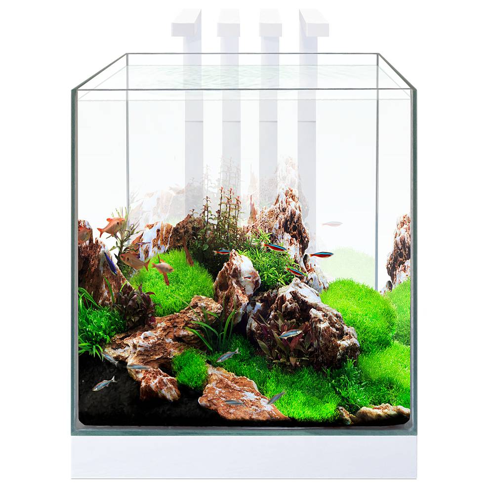 Nano Aquarium Blanc 22 L Nexus – CIANO - Imagen 3