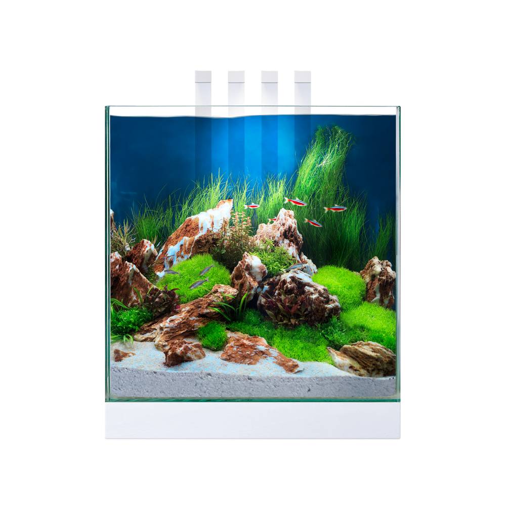 Nano Aquarium Blanc 22 L Nexus – CIANO - Imagen 2