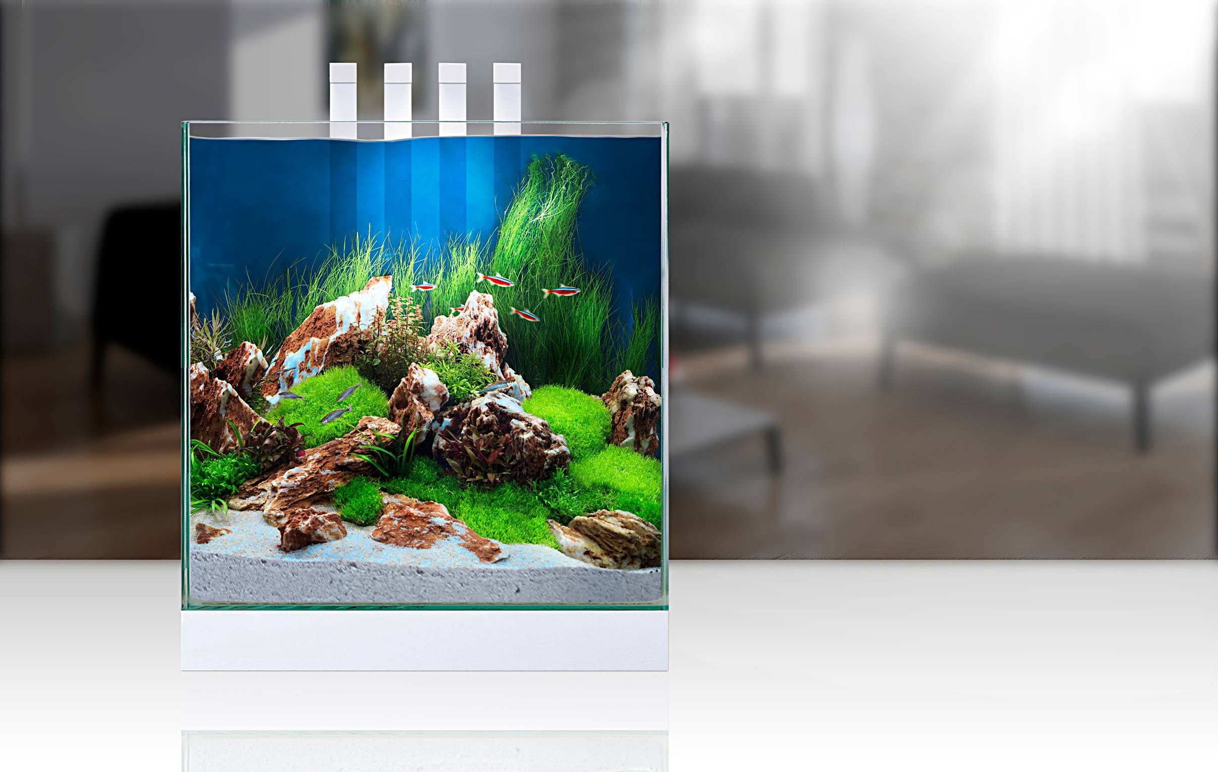Nano Aquarium Blanc 22 L Nexus – CIANO - Imagen 4