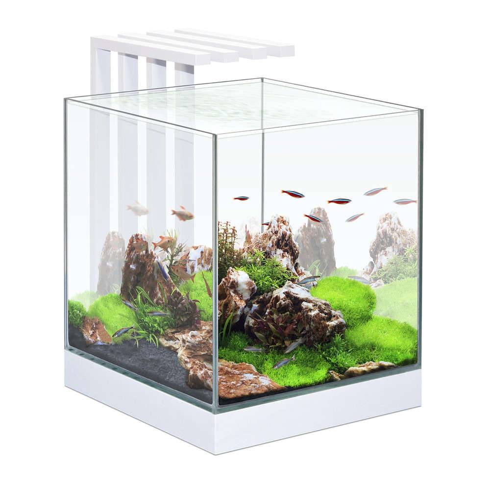 Nano Aquarium Blanc 22 L Nexus – CIANO - Imagen 1
