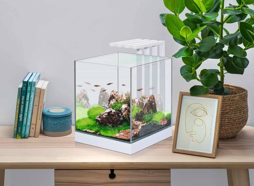 Nano Aquarium Blanc 22 L Nexus – CIANO - Imagen 5
