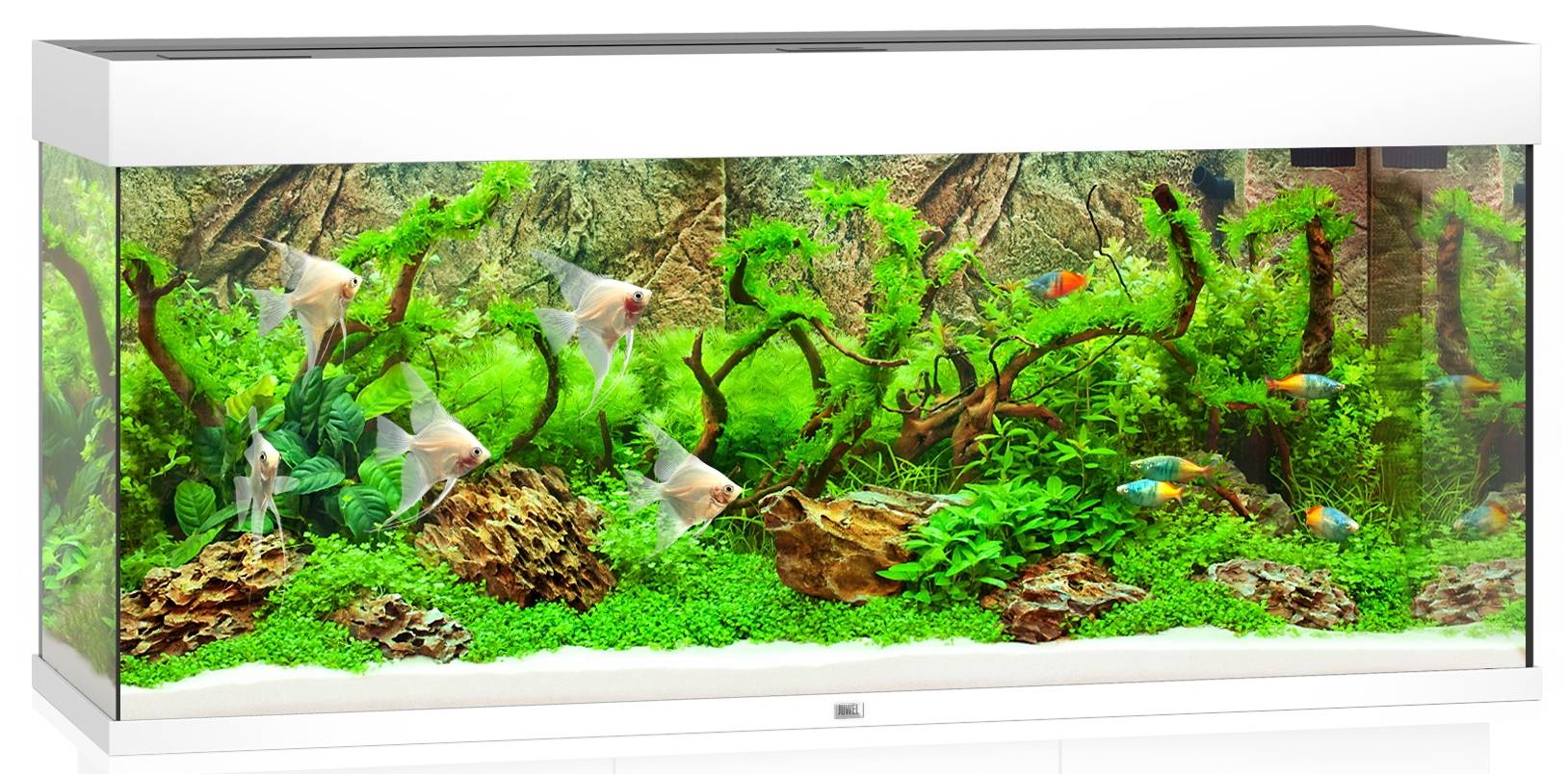 Aquarium LED Blanc L.121 l.41 H.55 cm 240L - JUWEL - Image 1