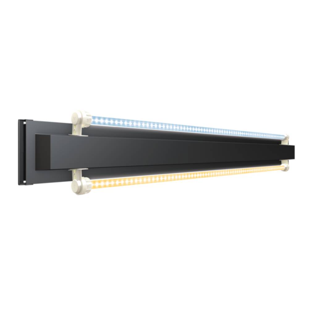 Aquarium LED Blanc L.121 l.41 H.55 cm 240L - JUWEL - Image 8