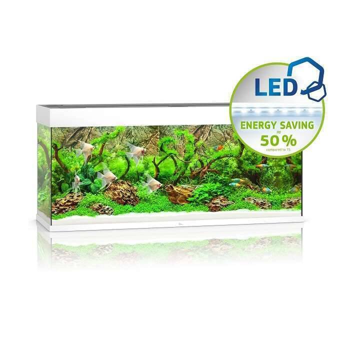 Aquarium LED Blanc L.121 l.41 H.55 cm 240L - JUWEL - Image 2