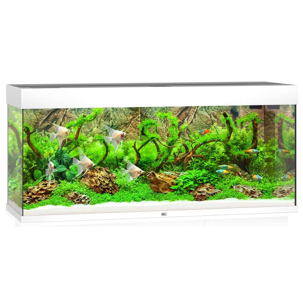Aquarium LED Blanc L.121 l.41 H.55 cm 240L - JUWEL - Image 3