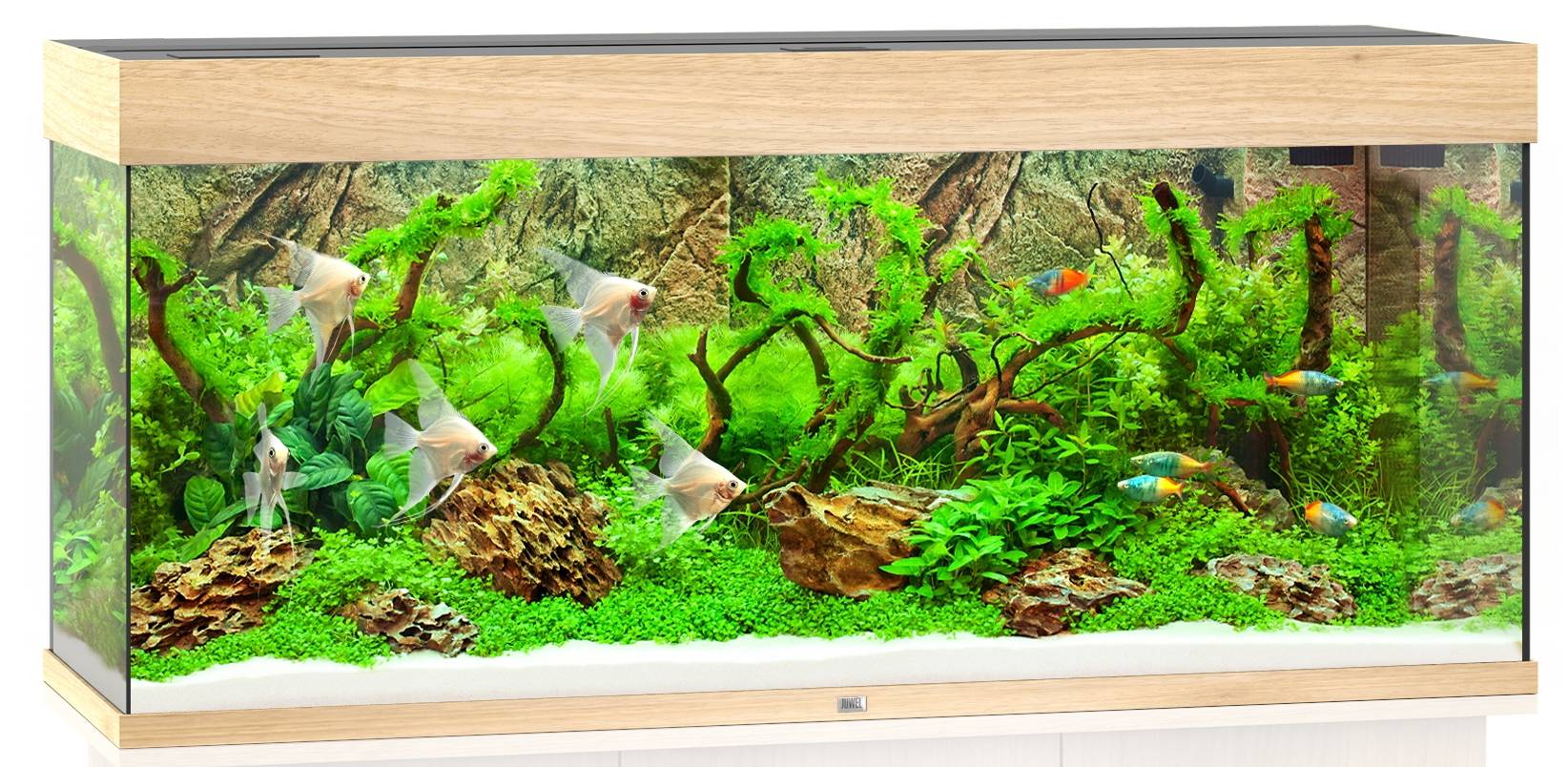 Aquarium LED bois clair L.121 x l.41 x H.55 cm 240 litres - JUWEL - Image 1