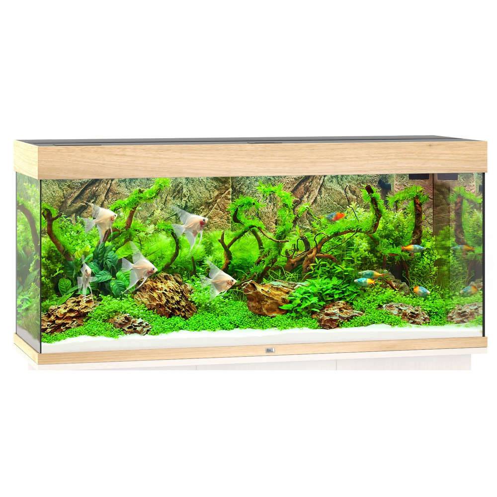 Aquarium LED bois clair L.121 x l.41 x H.55 cm 240 litres - JUWEL - Image 4