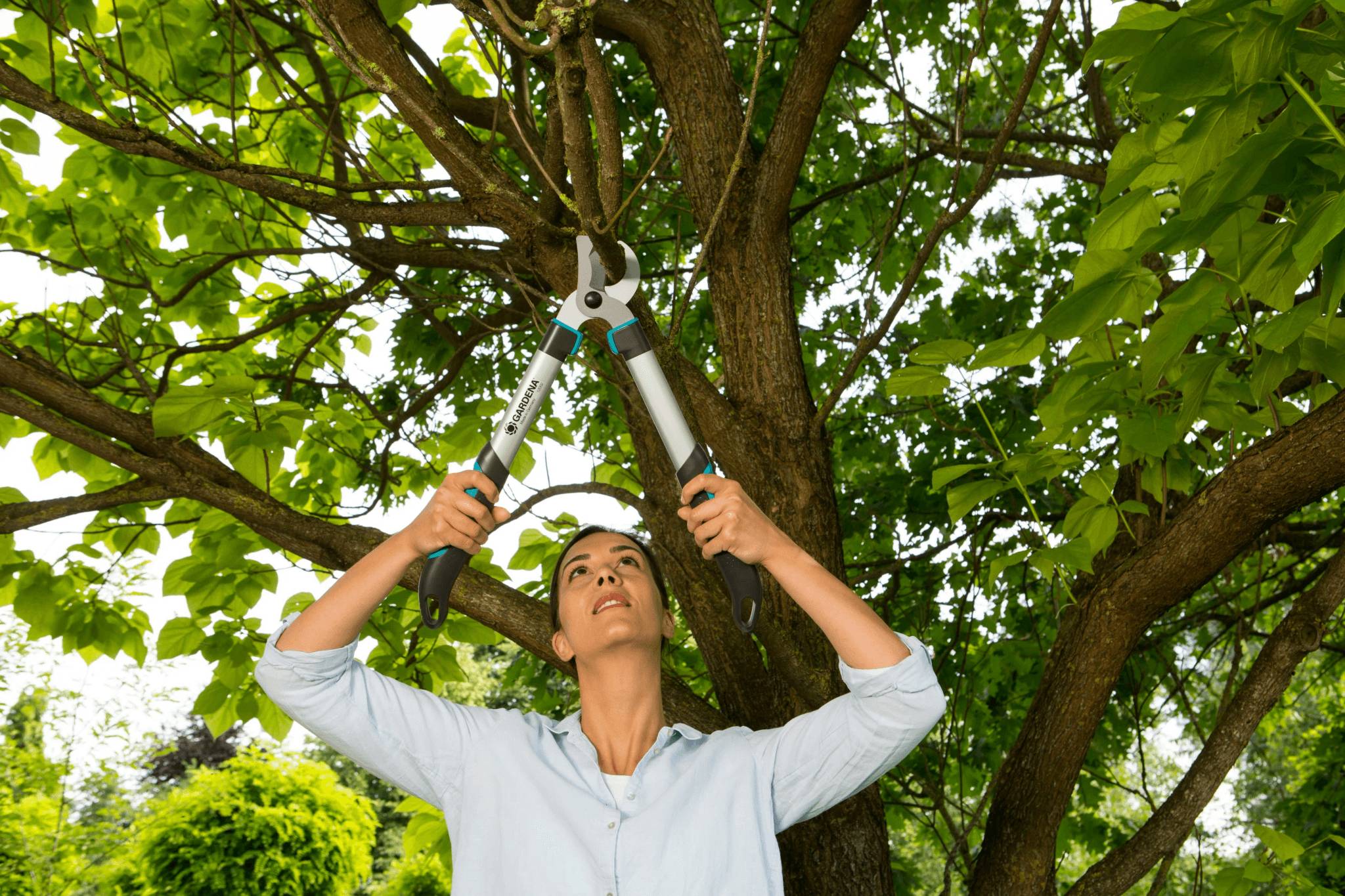 Coupe-branches aluminium ergonomique EasyCut 500B GARDENA - Imagen 7