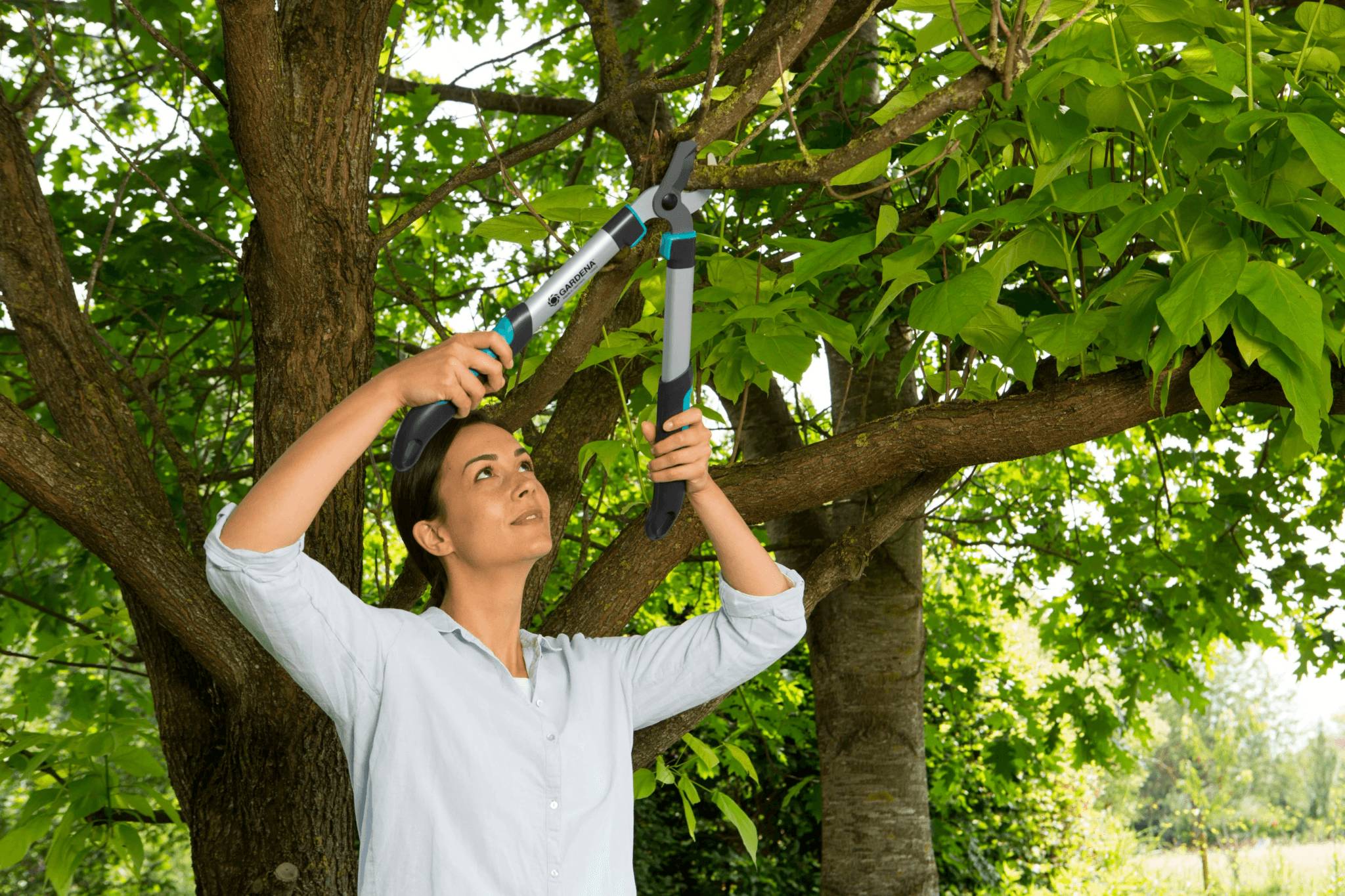 Coupe-branches aluminium ergonomique EasyCut 500B GARDENA - Imagen 10