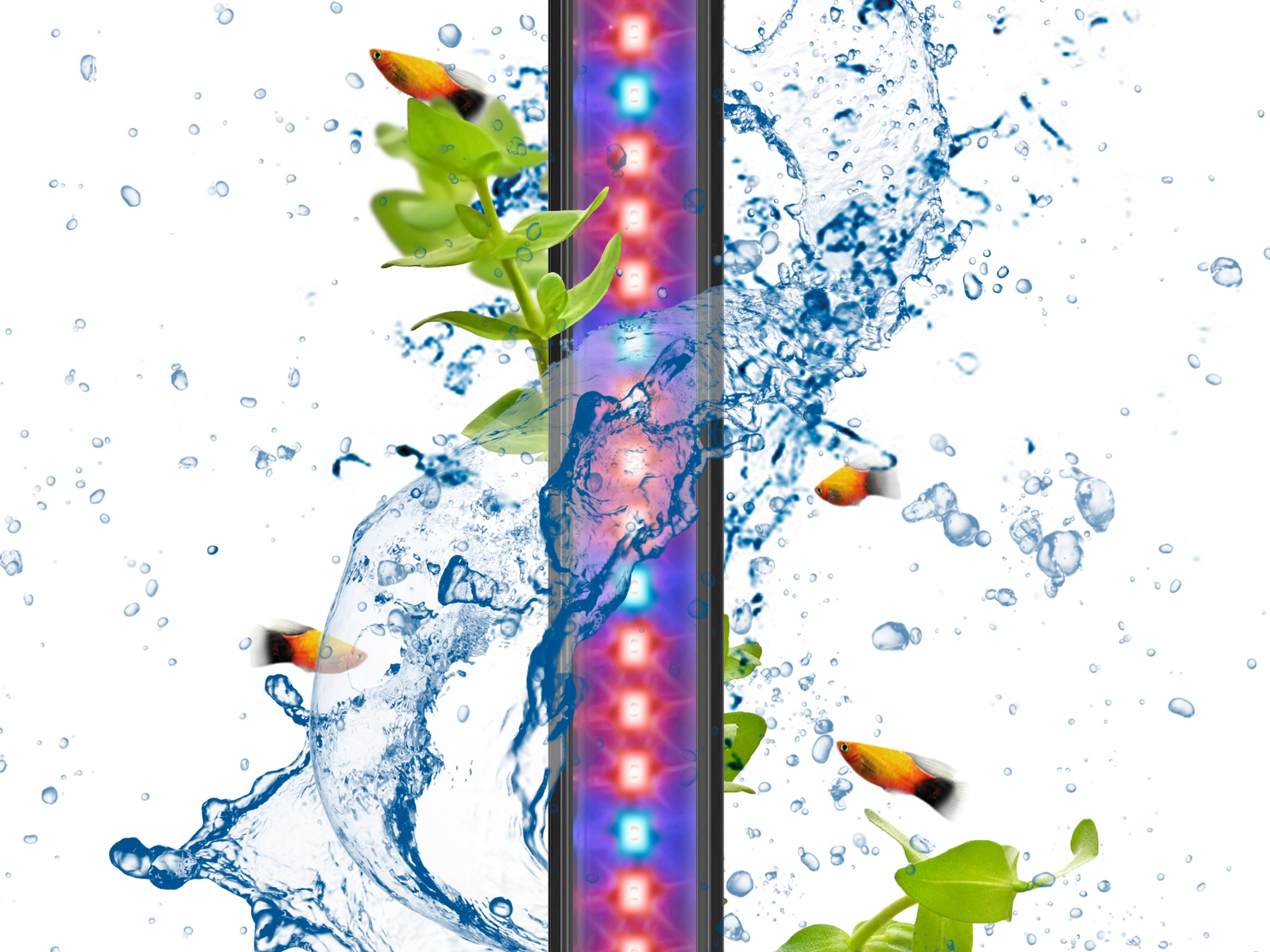 Ciano - Rampe LED Aquarium - CIANO
