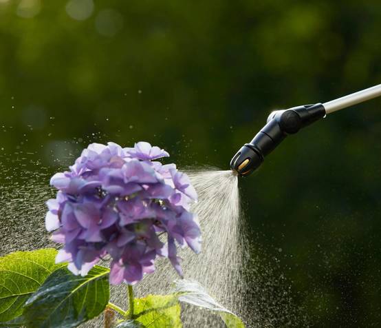 Pulvérisateur à pression préalable Plus 5L - GARDENA - Image 9