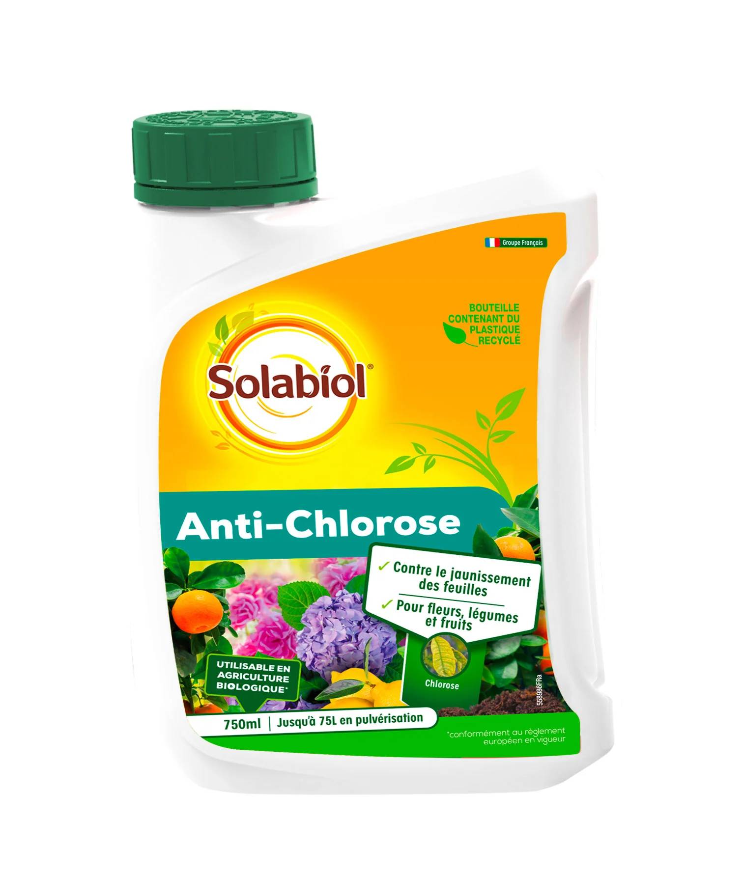 Solabiol - Anti-Chlorose CATALFER – SOLABIOL