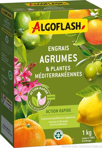 Algoflash - Engrais Agrumes et Plantes Méditerranéennes Action rapide 1 kg