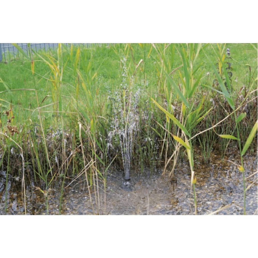 Oase - Jeu d'eau PondoSolar 600 – PONTEC - Imagen 7