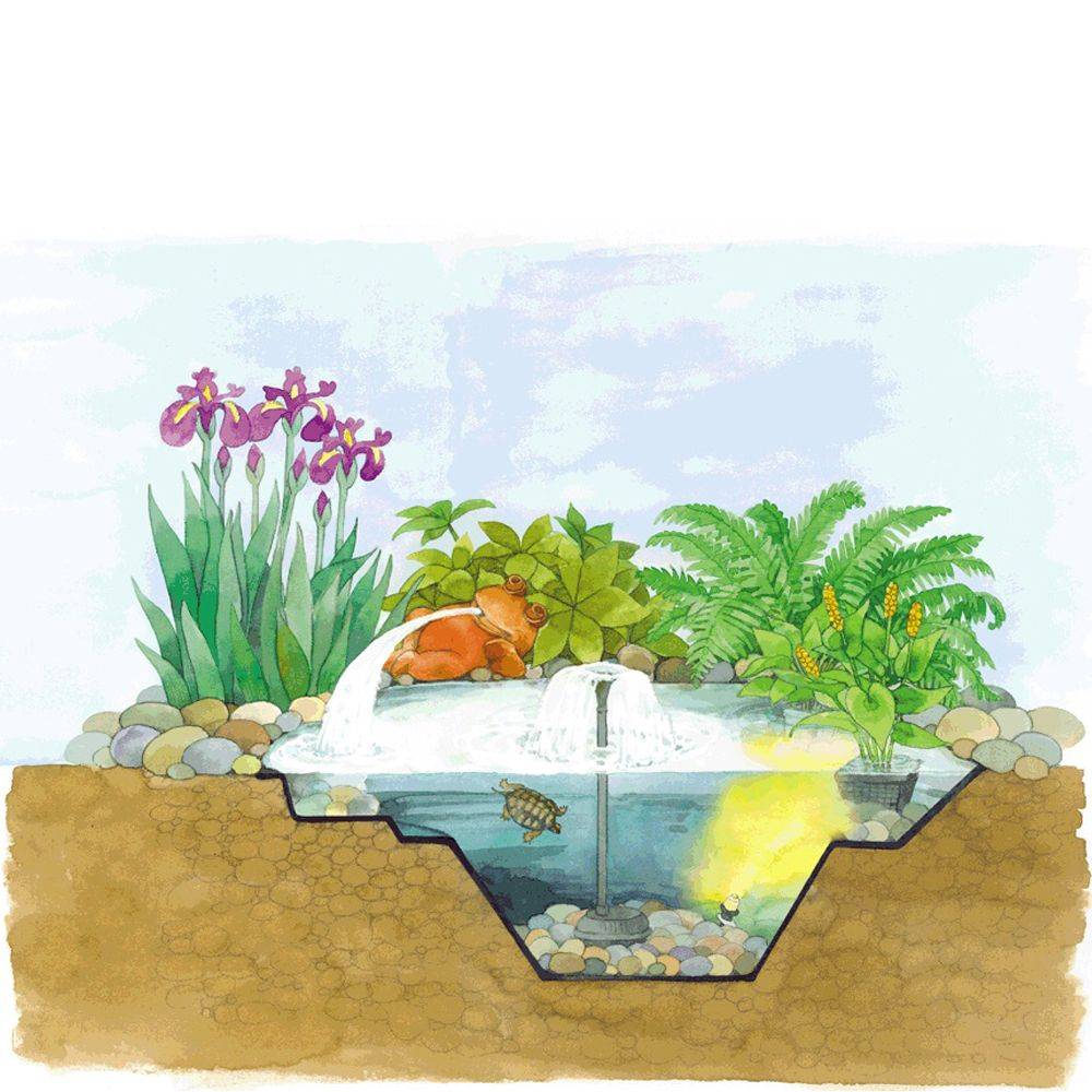 Oase - Bassin préformé  Start 750 L - OASE - Imagen 2