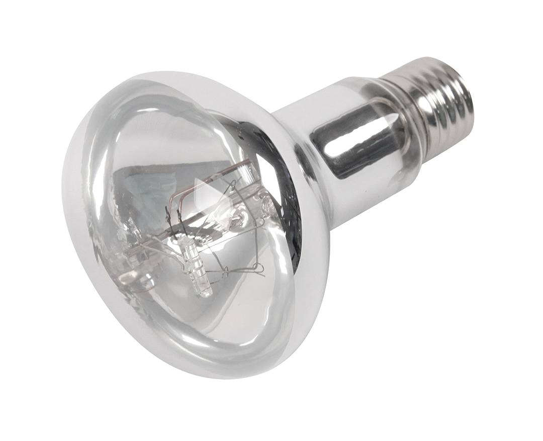 Aquatlantis - Lampe Super Sun UV 160W - TERRATLANTIS - Imagen 1