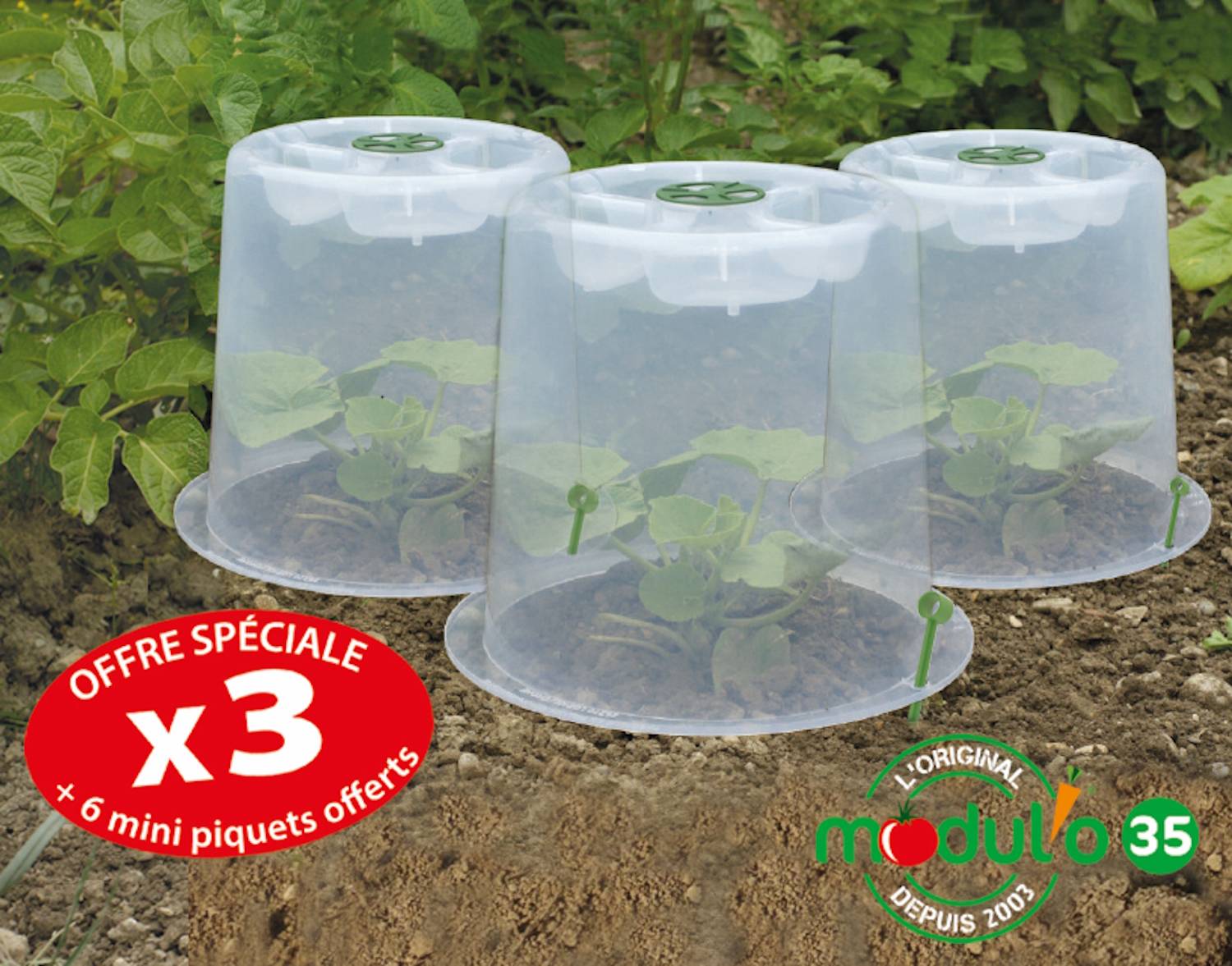 Modul'o - Lot de 3 cloches potagères avec 6 piquets Ø35 x H. 30 cm- Modul'o - Imagen 1