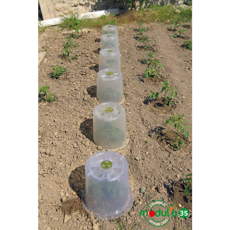 Modul'o - Lot de 3 cloches potagères avec 6 piquets Ø35 x H. 30 cm- Modul'o - Imagen 6