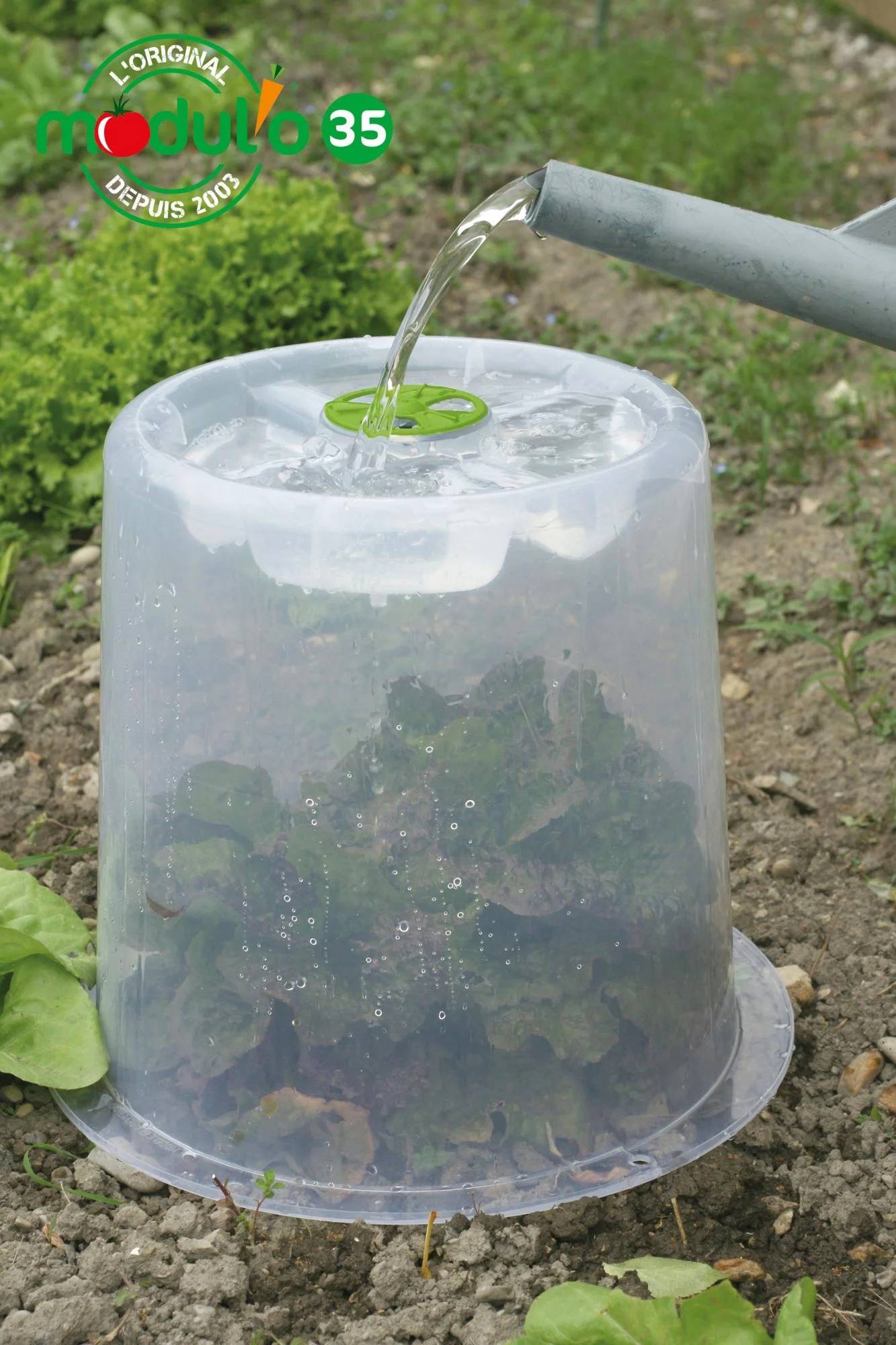 Modul'o - Lot de 3 cloches potagères avec 6 piquets Ø35 x H. 30 cm- Modul'o - Imagen 8