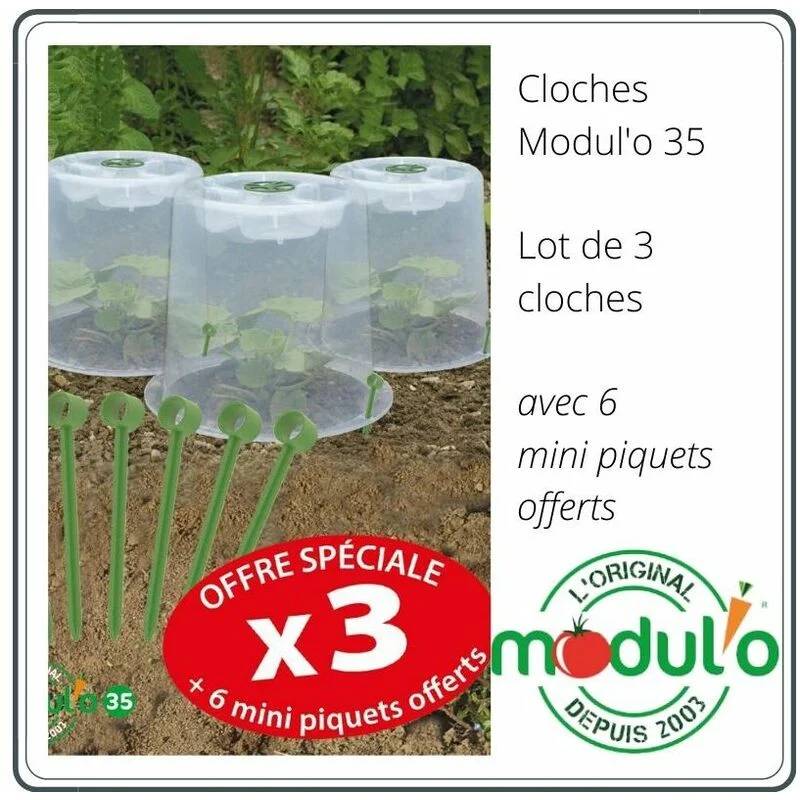Modul'o - Lot de 3 cloches potagères avec 6 piquets Ø35 x H. 30 cm- Modul'o - Imagen 9