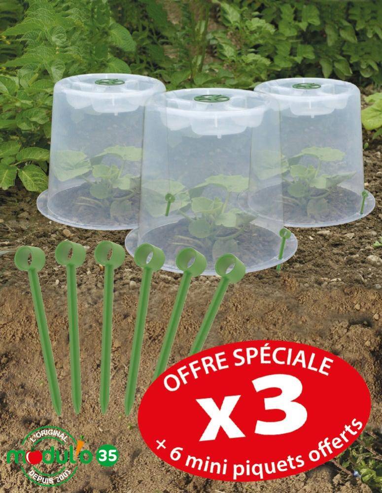 Modul'o - Lot de 3 cloches potagères avec 6 piquets Ø35 x H. 30 cm- Modul'o - Imagen 7