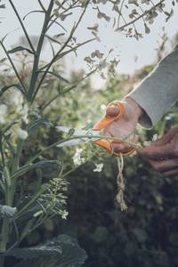 Ciseaux De Jardin À Lames Striées S92 - 18 Cm
Pour Droitiers - Image 1