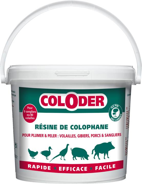 Saniterpen - Résine de colophane Coloder 3,5KG - Saniterpen - Image 1