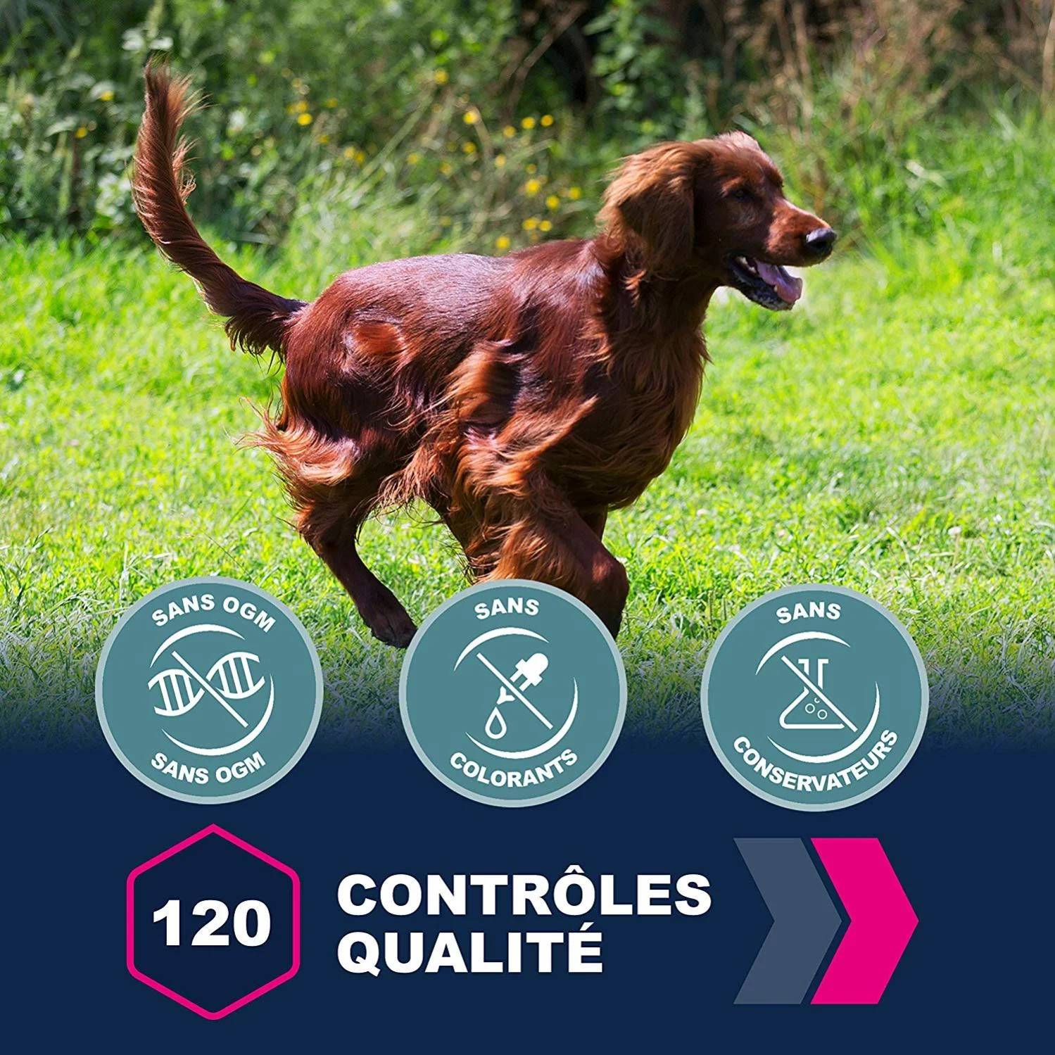 Croquettes pour chien adulte moyen Poulet 15 kg - EUKANUBA - Image 3