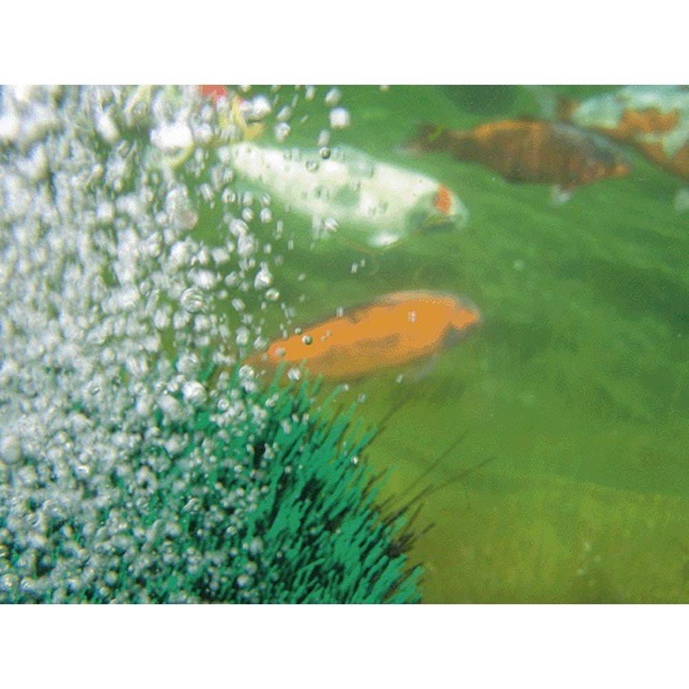 Kit aérateur bassin OxyTex Set 1000 - OASE - Imagen 3