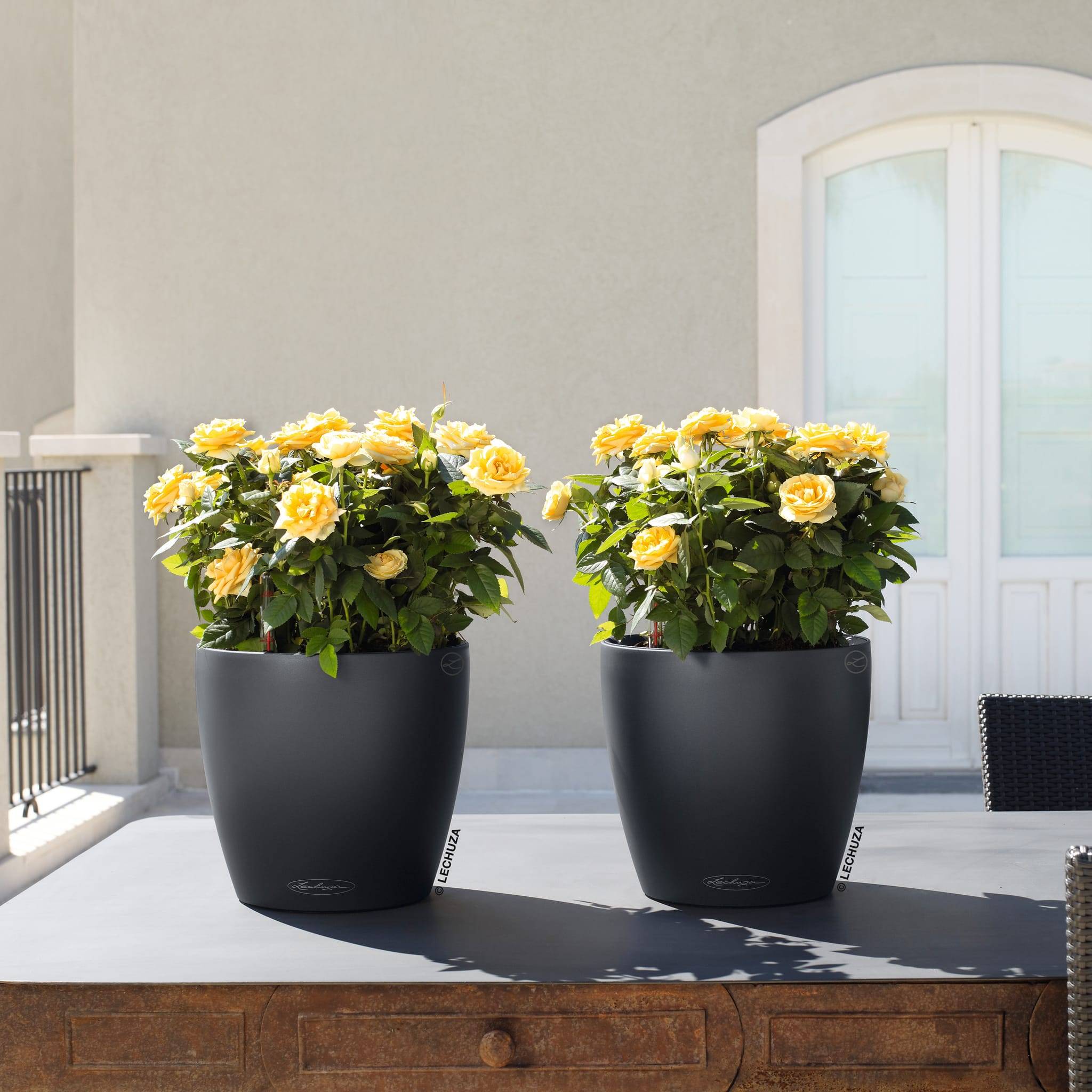 POT CLASSICO COLOR  GRIS ARDOISE D28CM - Imagen 2