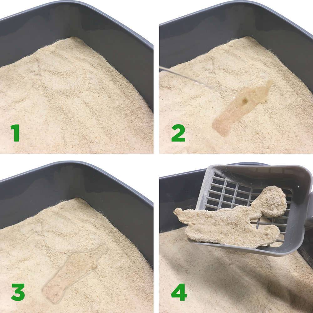 Almo Nature - Litière pour chat végétale biodégradable Catlitter 2,27 kg - ALMO NATURE - Image 6
