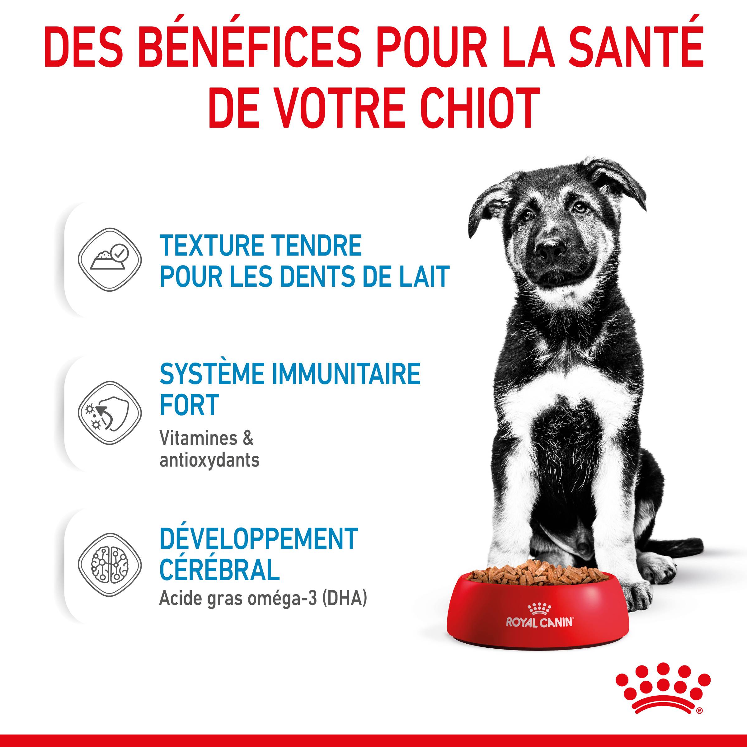 Royal Canin - Aliment Humide Chiot Maxi Sauce - ROYAL CANIN - Image 5